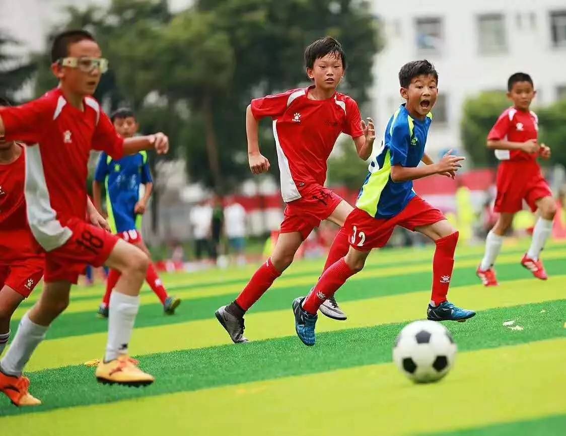 解说袁甲：法国晋级面大 德国大胜无疑-今日头条